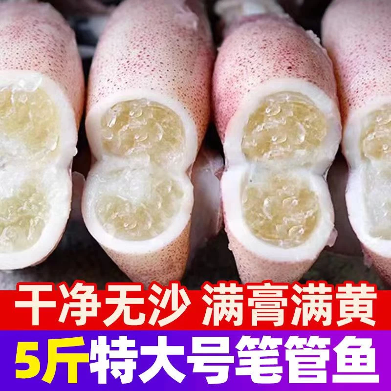 满籽海兔5包50只 带籽籽乌笔管鱼满籽满膏