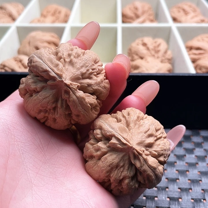 郭***意霸王龙核桃尺寸41