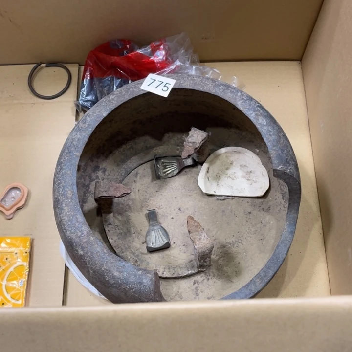 茶宠当**少我们都是好孩子呀打脸好