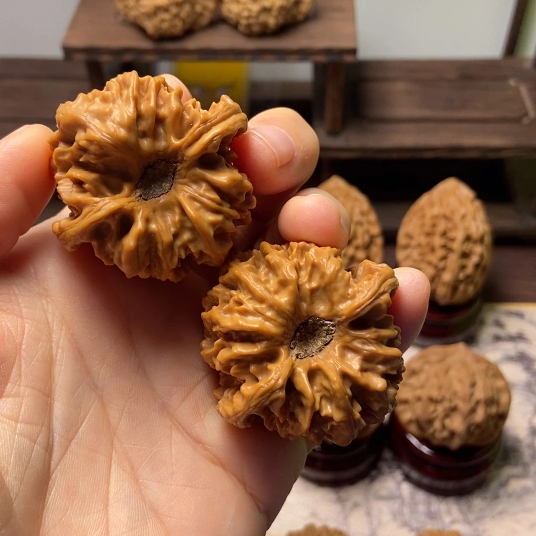 东***坤把件文玩核桃曹大龙尺寸42