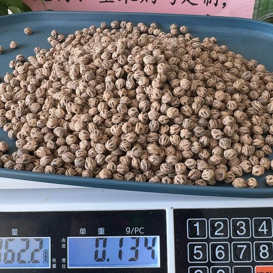 小***股吊坠柏香籽/百香籽362克H3002