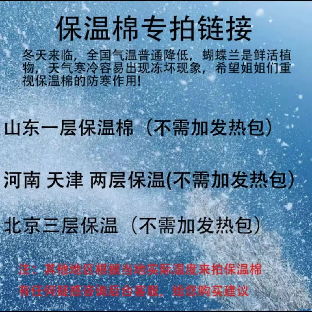 一定要拍！【保温棉*防止冻伤】【和花同时间下单】不拍 冻坏不售后