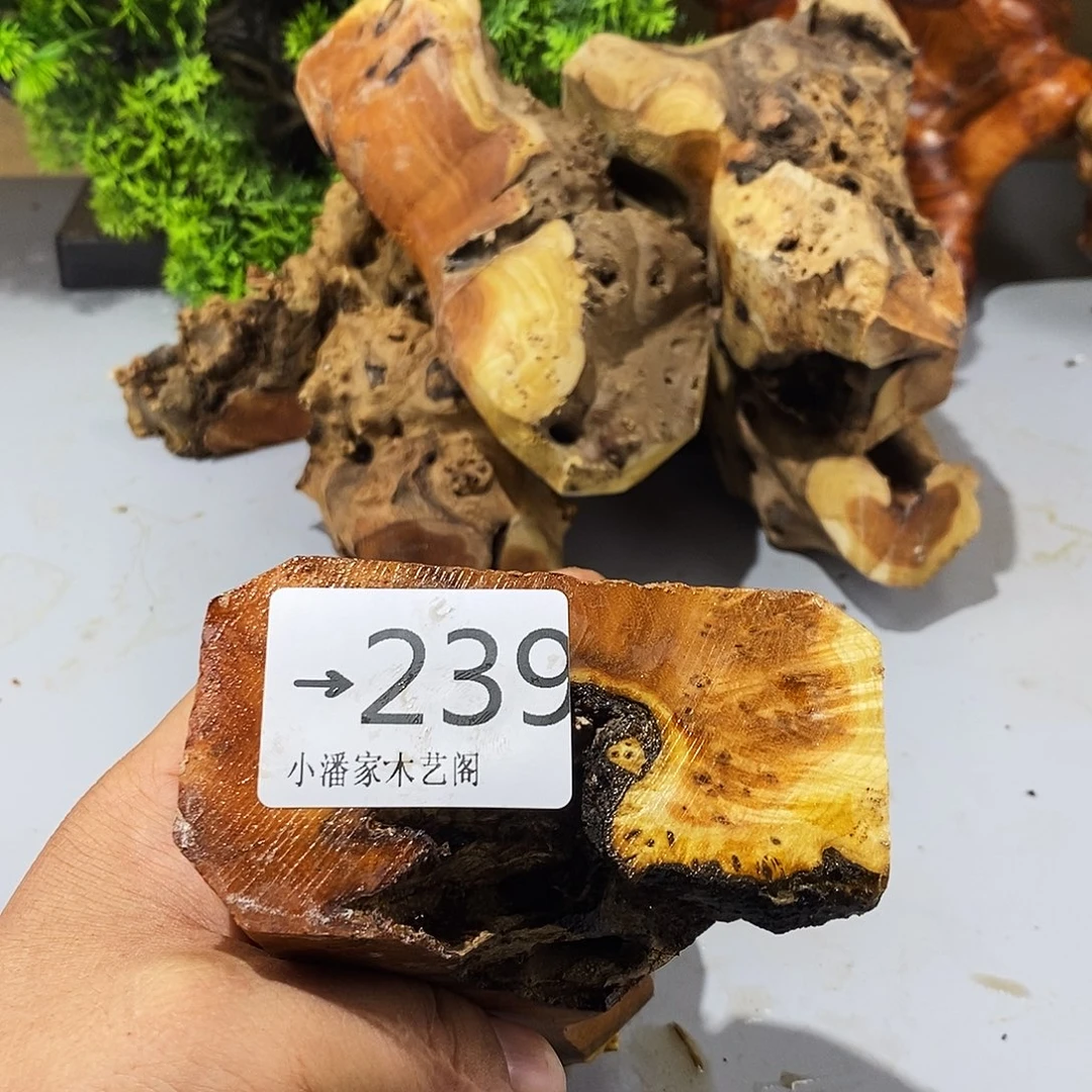 风车木（黑檀木）小*啾麻梨疙瘩木