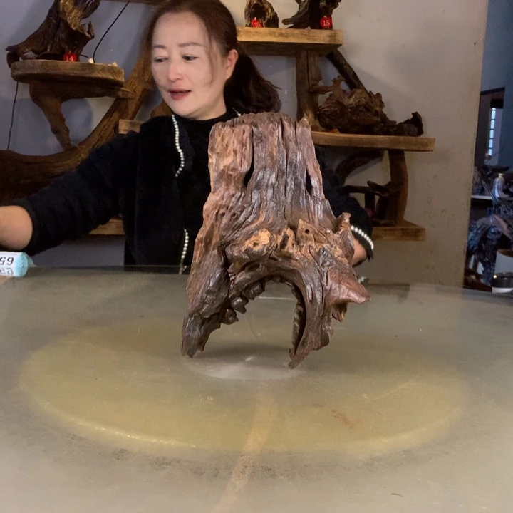 浩***鱼天然的云南紫柚木会黄水
