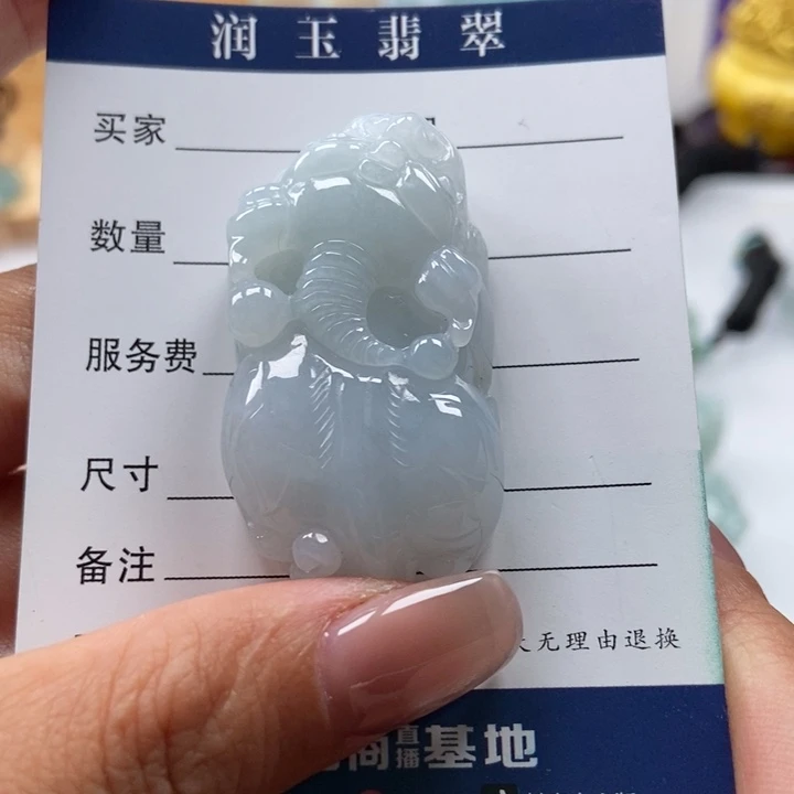 翡翠未镶嵌颈饰如意貔貅