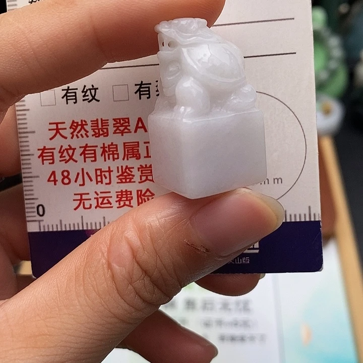 颈饰未镶嵌翡翠玄武