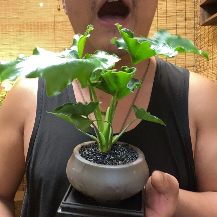 一物一拍所见即所得146