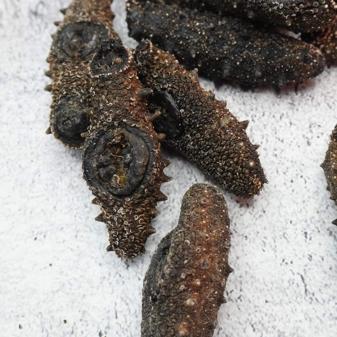 【新货精品纯淡干海参 60-70头  顺丰包邮