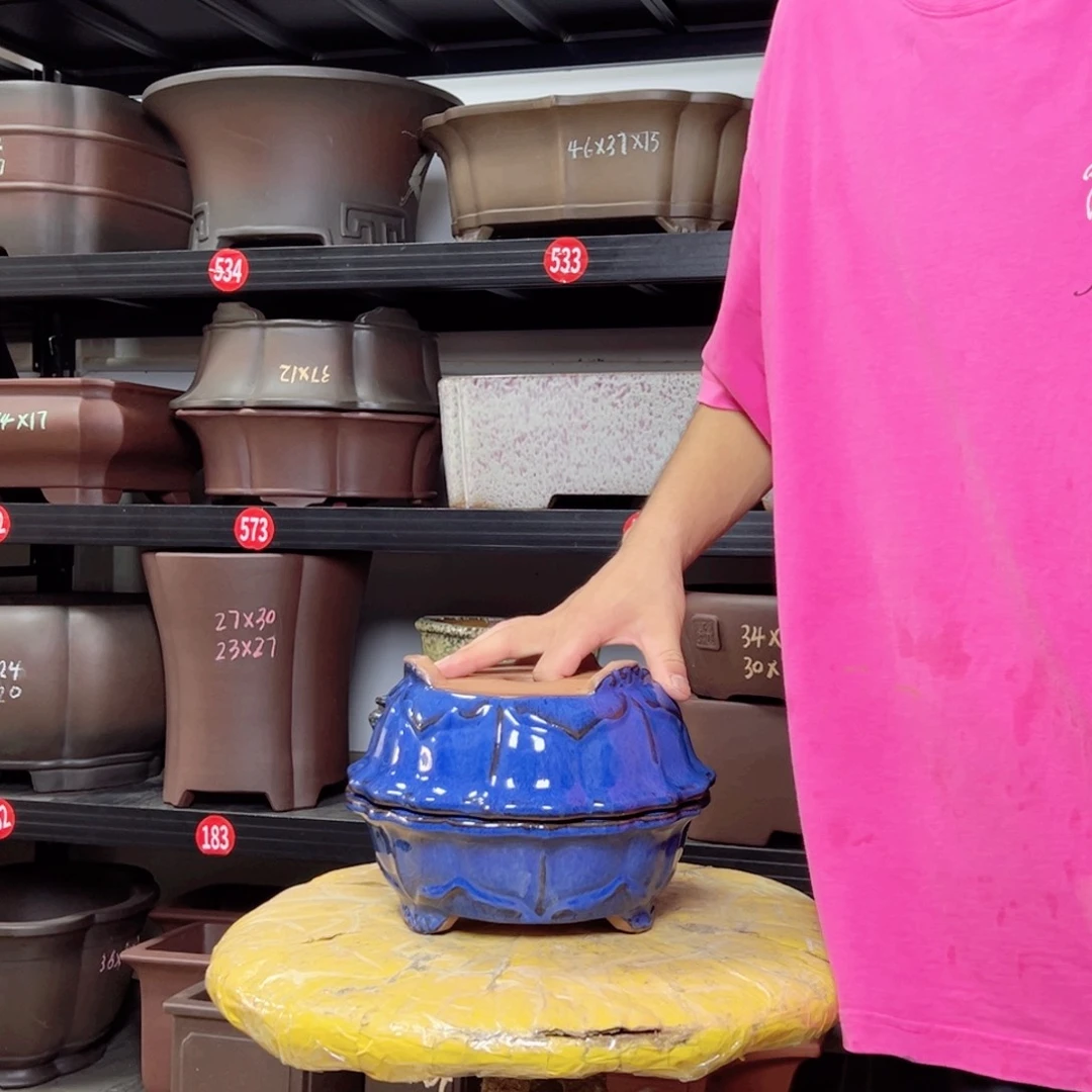 紫砂花盆呜呜呜呜