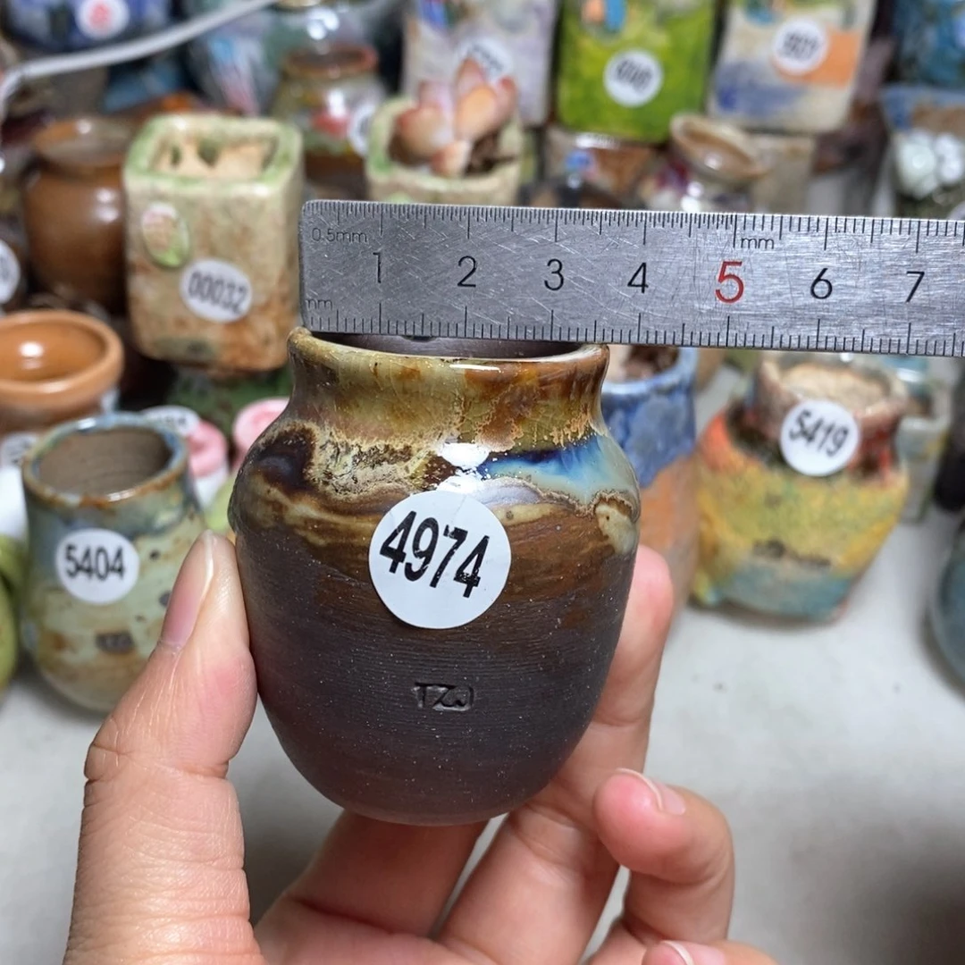 拍5送一个小礼物