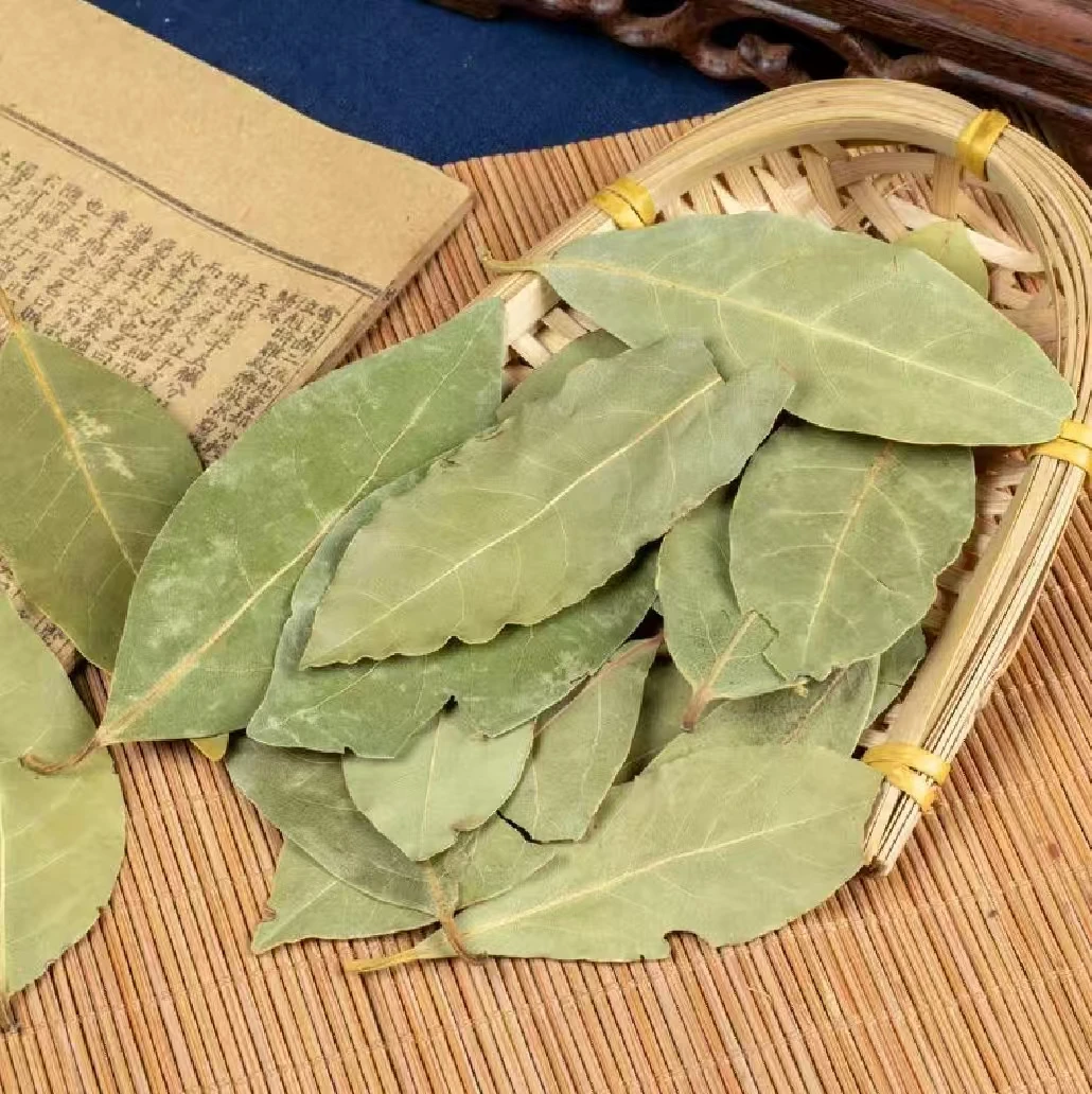 正宗广西老树香叶天然增香调味料家用商用烹饪必备炖肉提香佳品