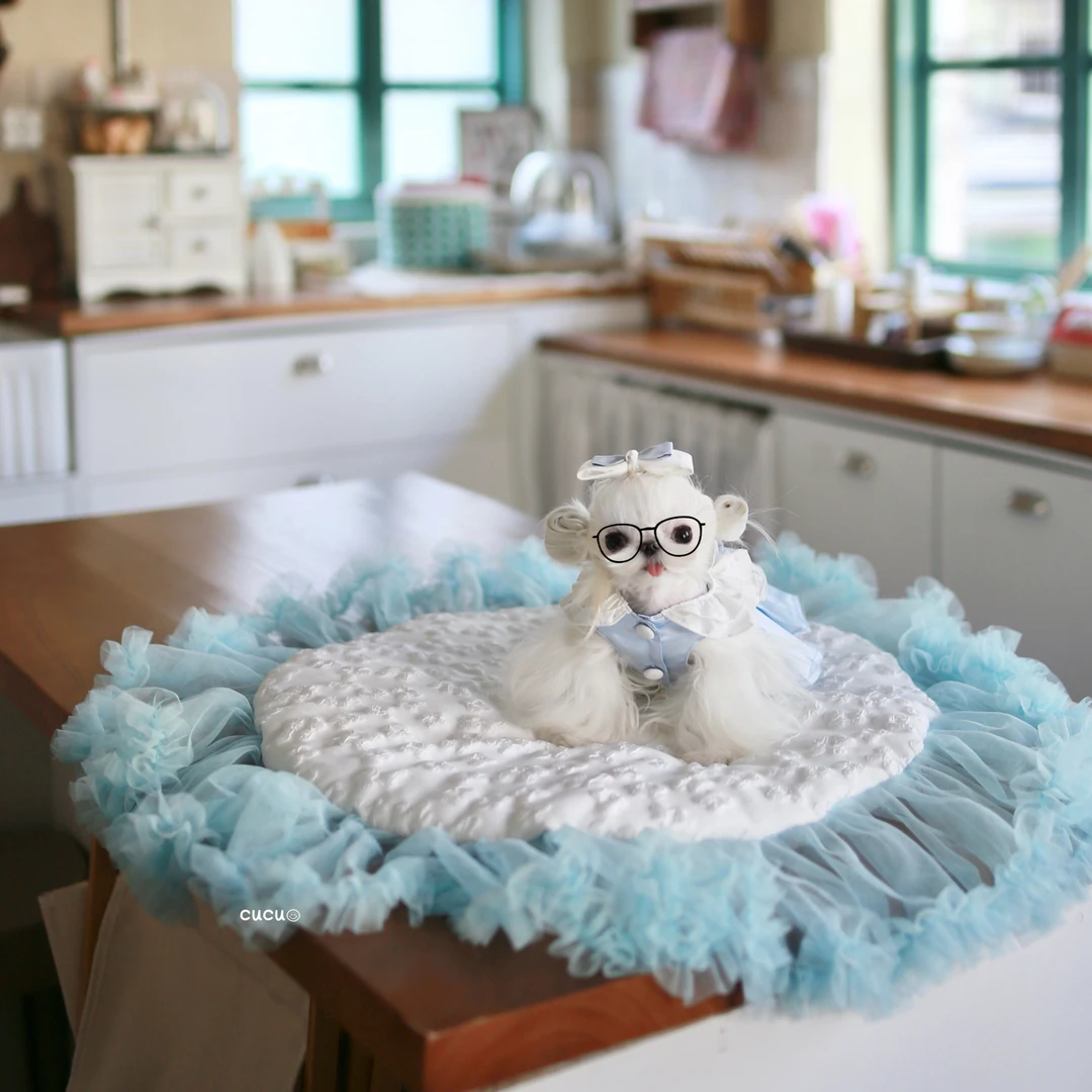 定制宠物衣服理性消费不支持退换