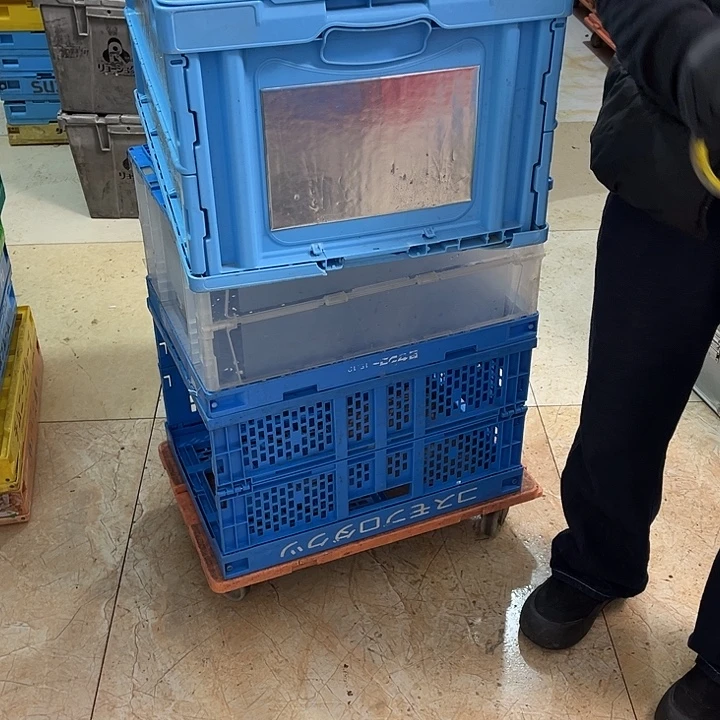 开***心厚款家用五金工具箱一个大蓝色带盖坏