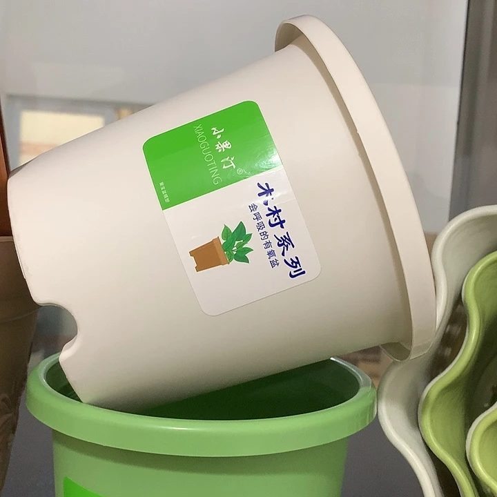 小果汀15口白10个无托