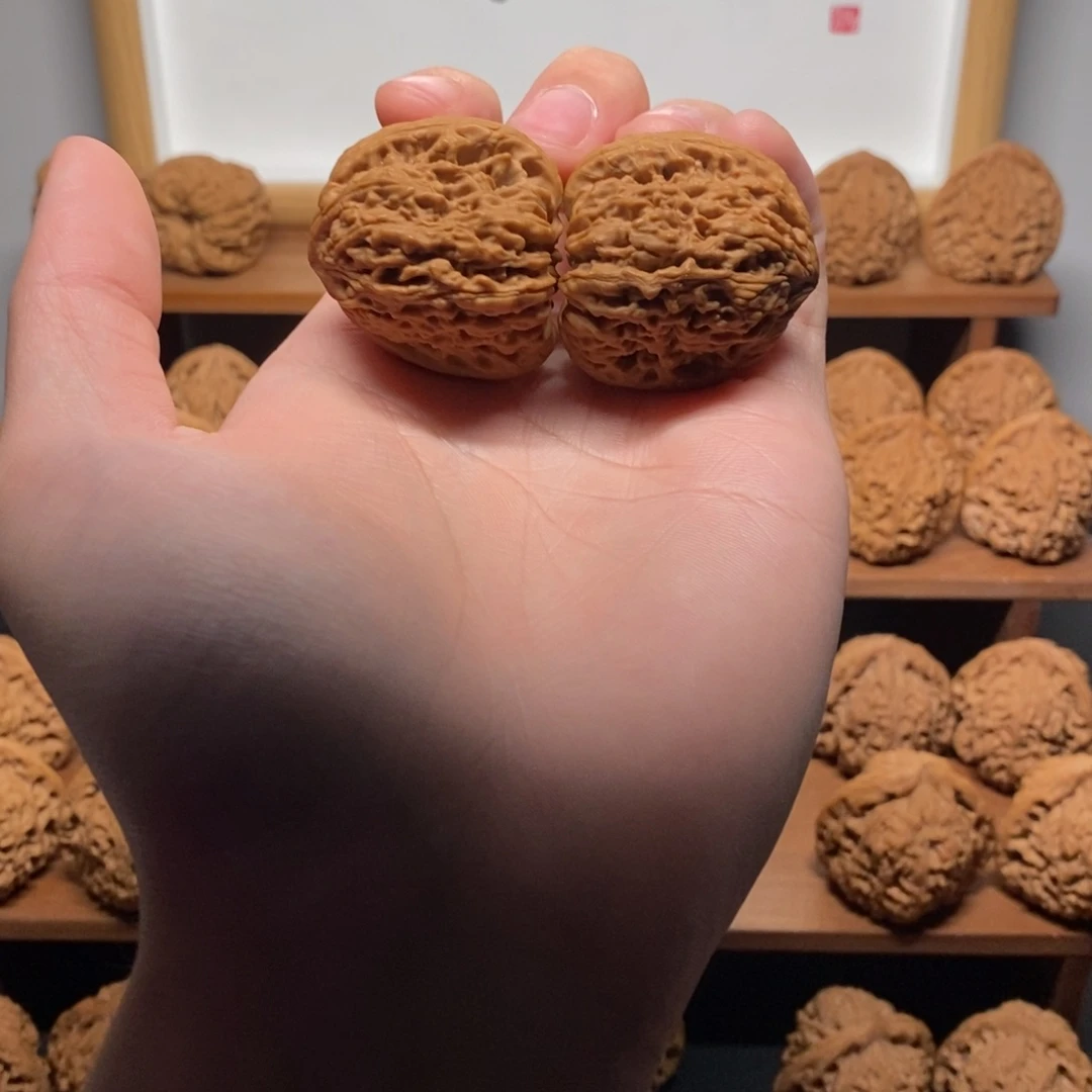 核桃南疆石35尺全品对歪鹰嘴