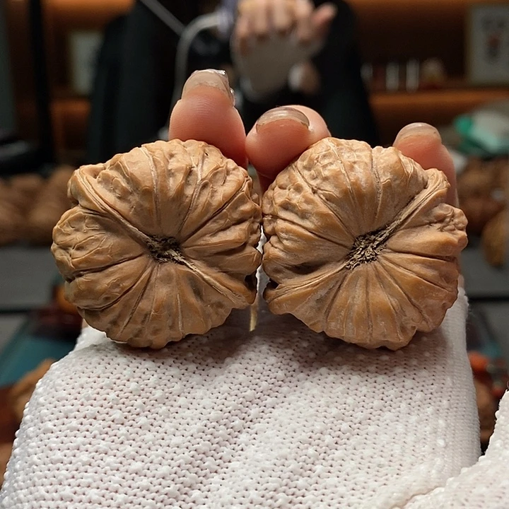 核桃11号 40尺南瓜墩全品