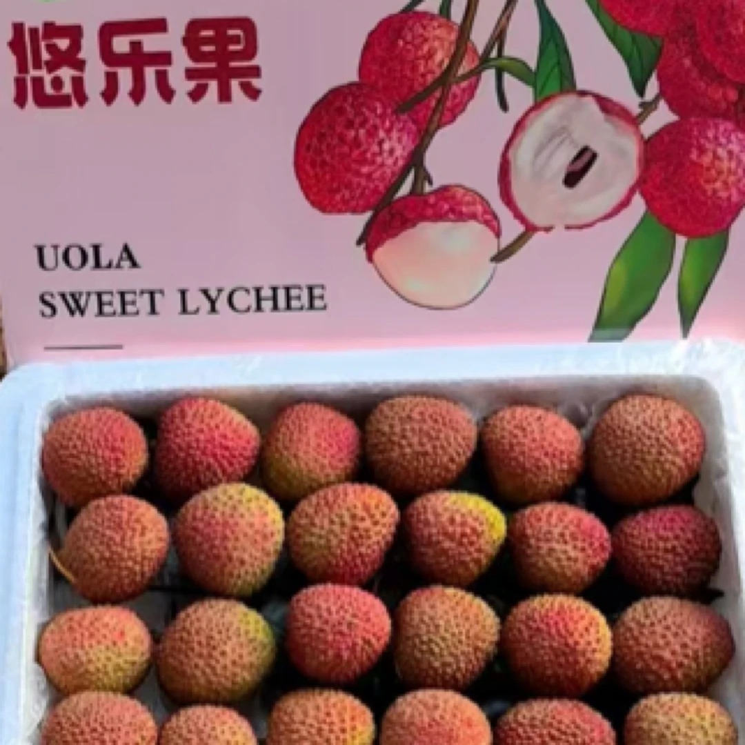 【顺丰快递】海南悠乐果妃子笑荔枝礼盒装净重2.5斤左右精品果不泡水不催熟新鲜海南省