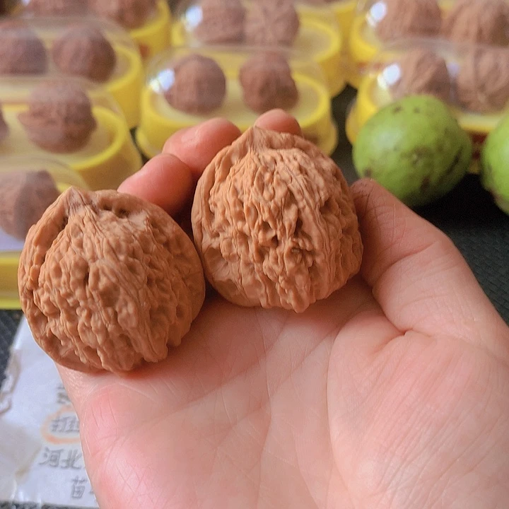 吊坠文玩核桃39尺大蜜文