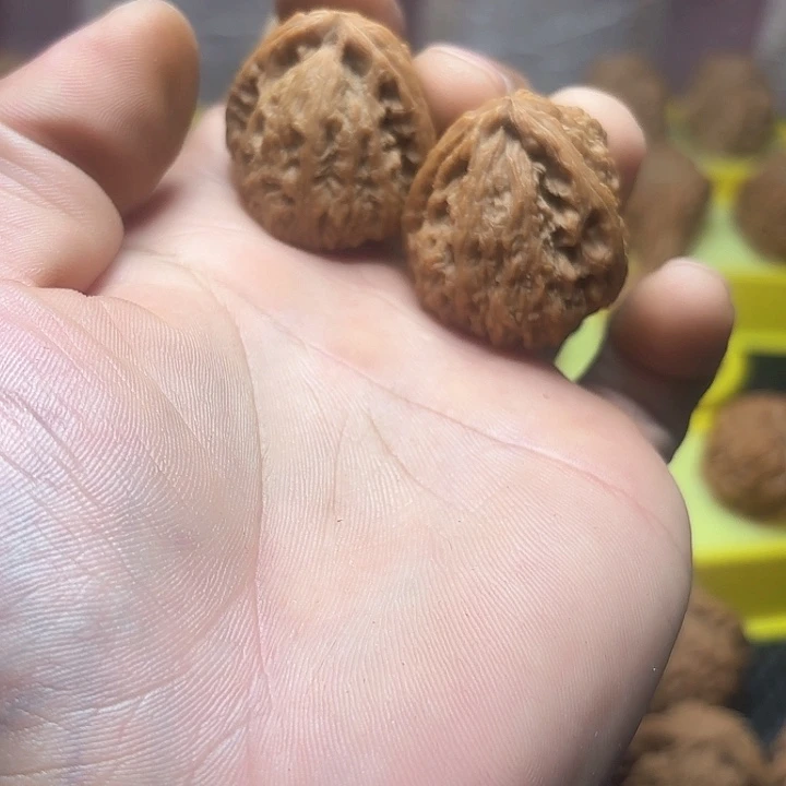 牛***!文玩核桃把件南疆石小三角异性10