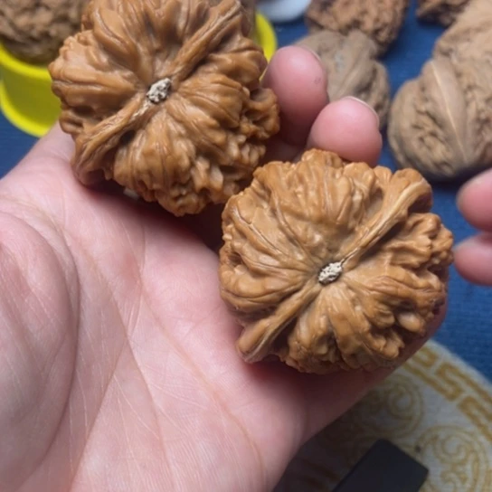 文玩核桃吊坠粗筋