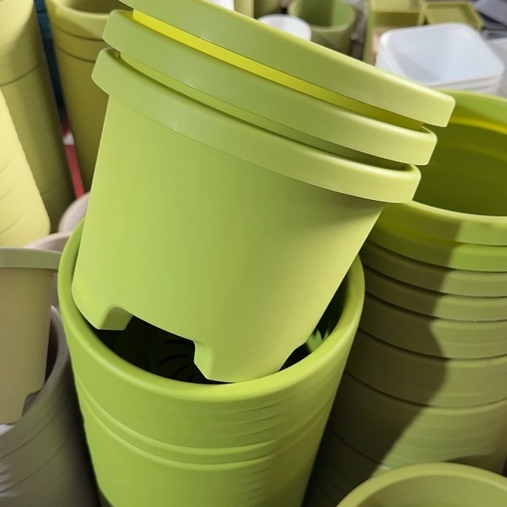 球根26口径6个无托果绿