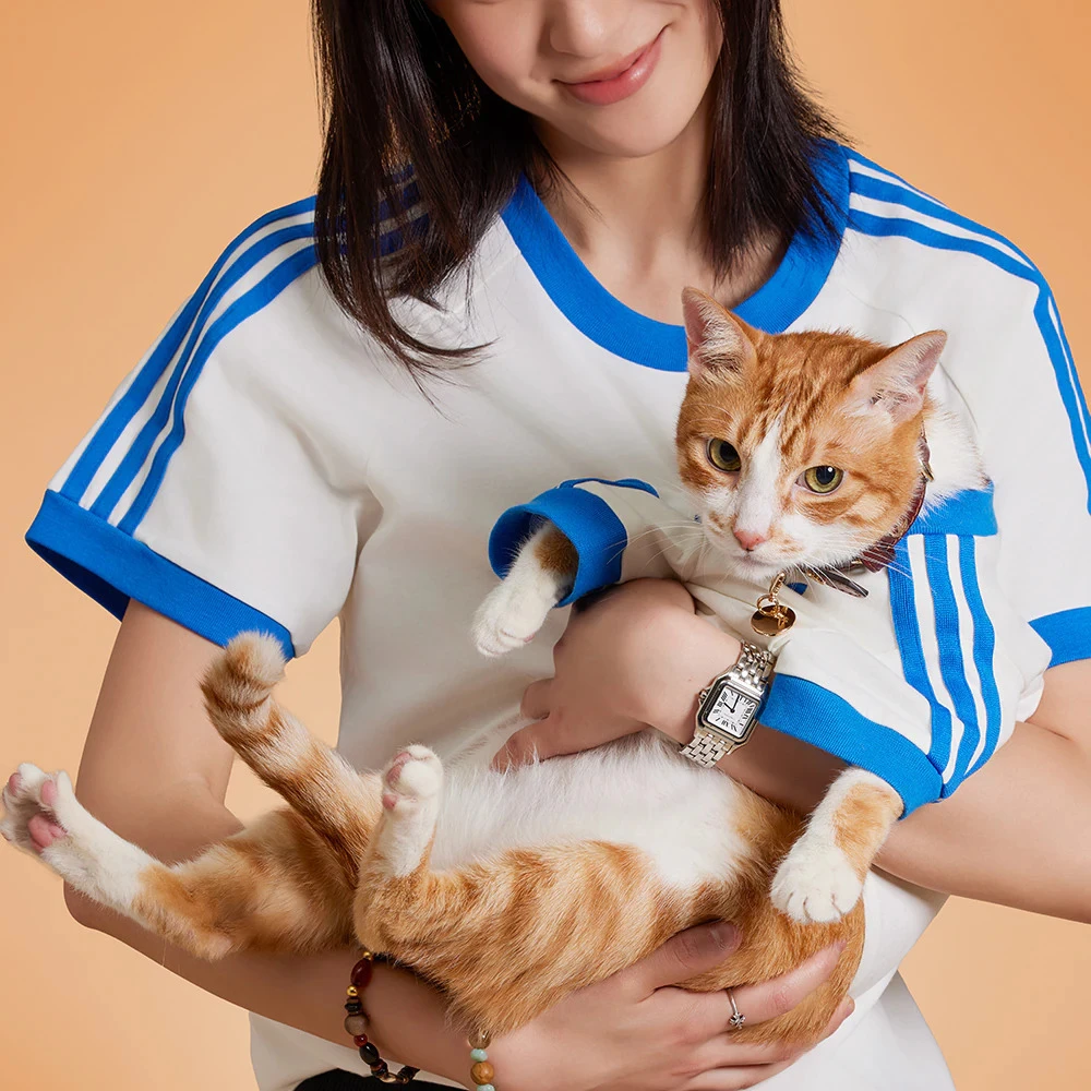 adidas Originals阿迪三叶草男子CALITEE情人节针织无领T恤KR0291