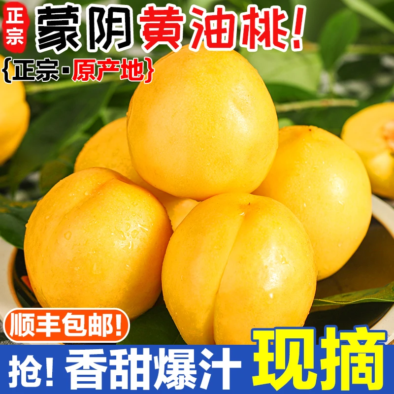【顺丰包邮】山东蒙阴黄金油桃 脆香金蜜硬吃脆甜软吃香甜爆汁！礼盒