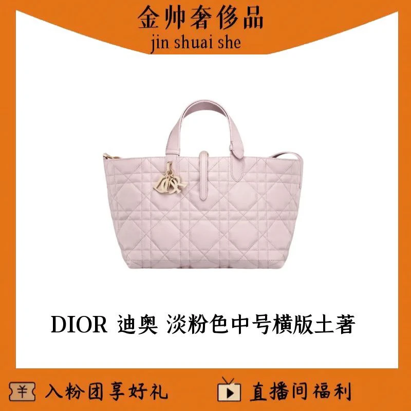 99新 DIOR/迪奥 淡粉色/土著/横版/中号/B6392