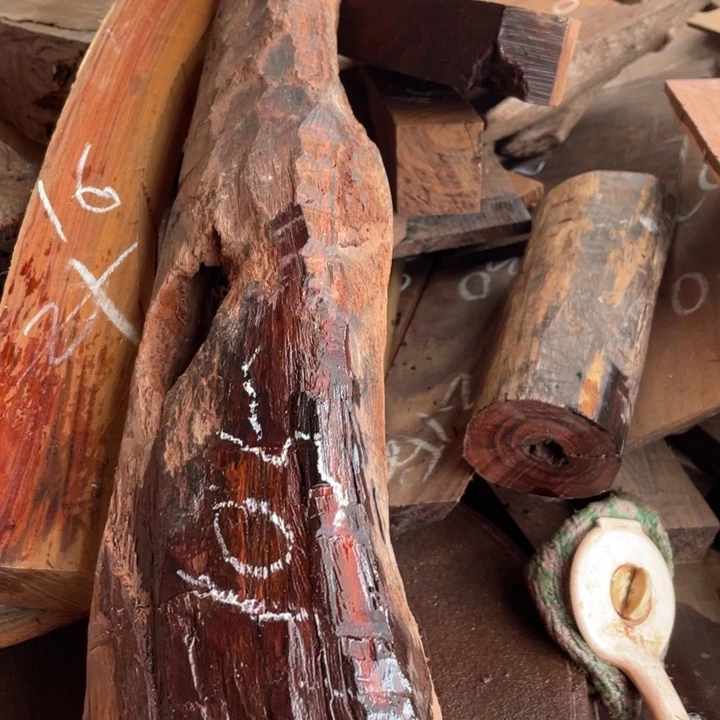 交趾黄檀（大红酸枝）檀*树