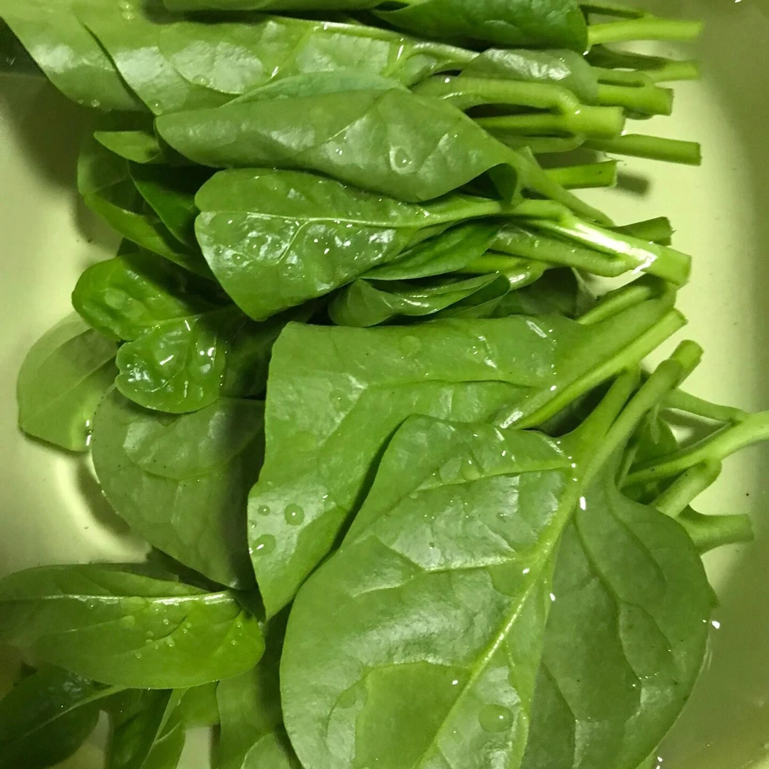 木耳菜每份约500克