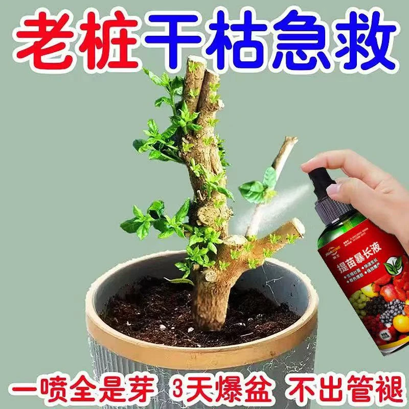 【新芽猛长】老桩催芽剂促芽僵苗快速发新芽防黄叶促花营养复活肥