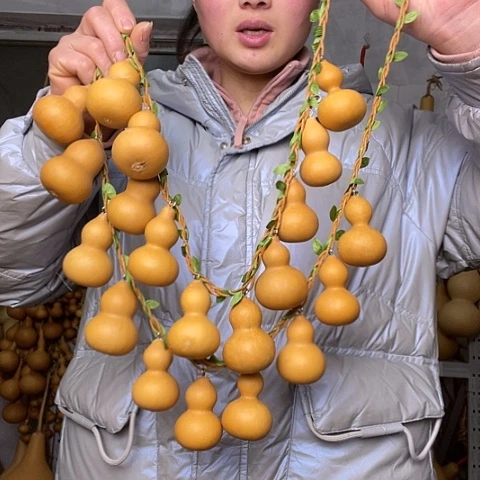 天然植物葫芦文玩