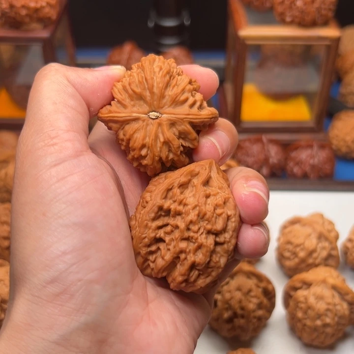 桃核吊坠我**的好好好好好好好