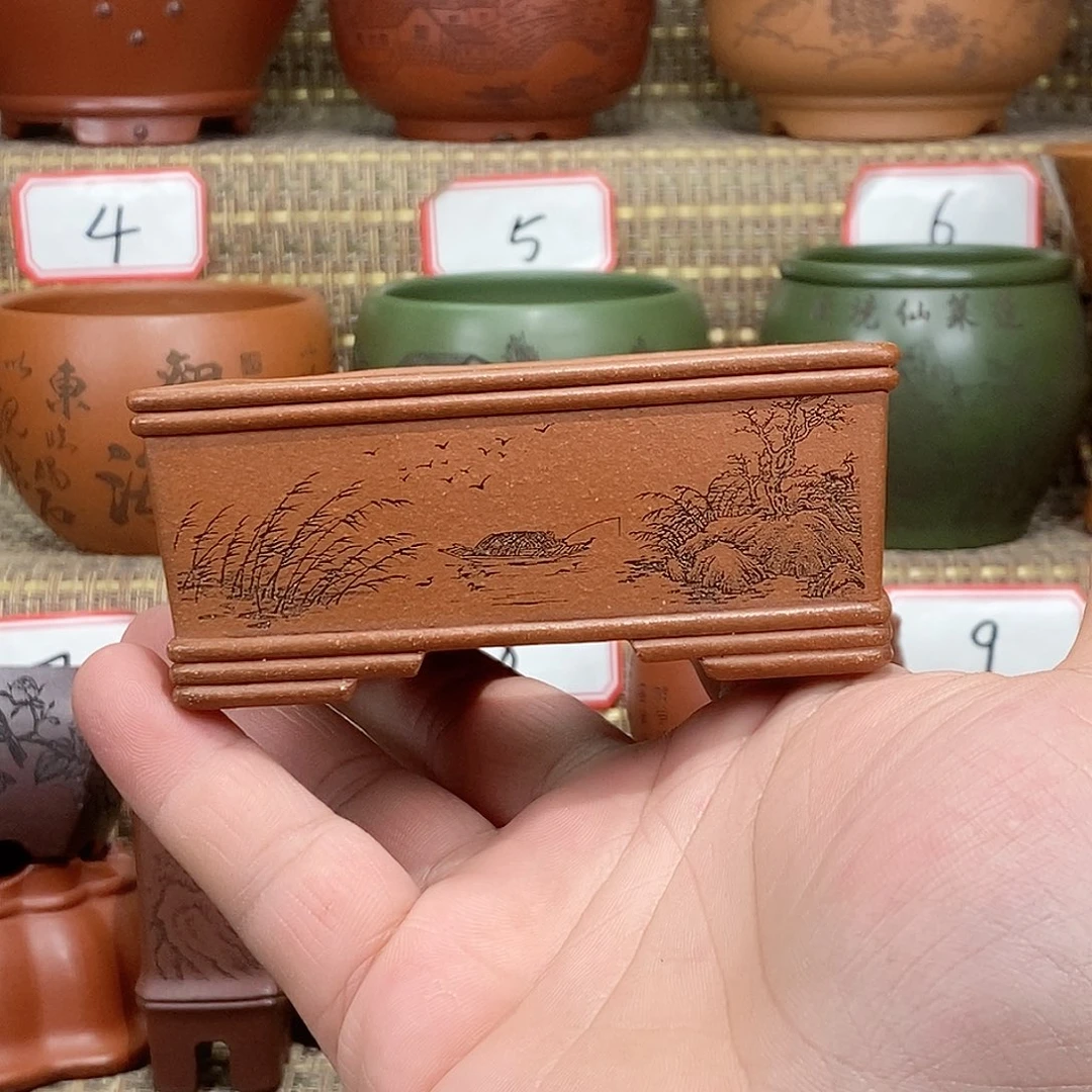 紫砂花盆我在等一