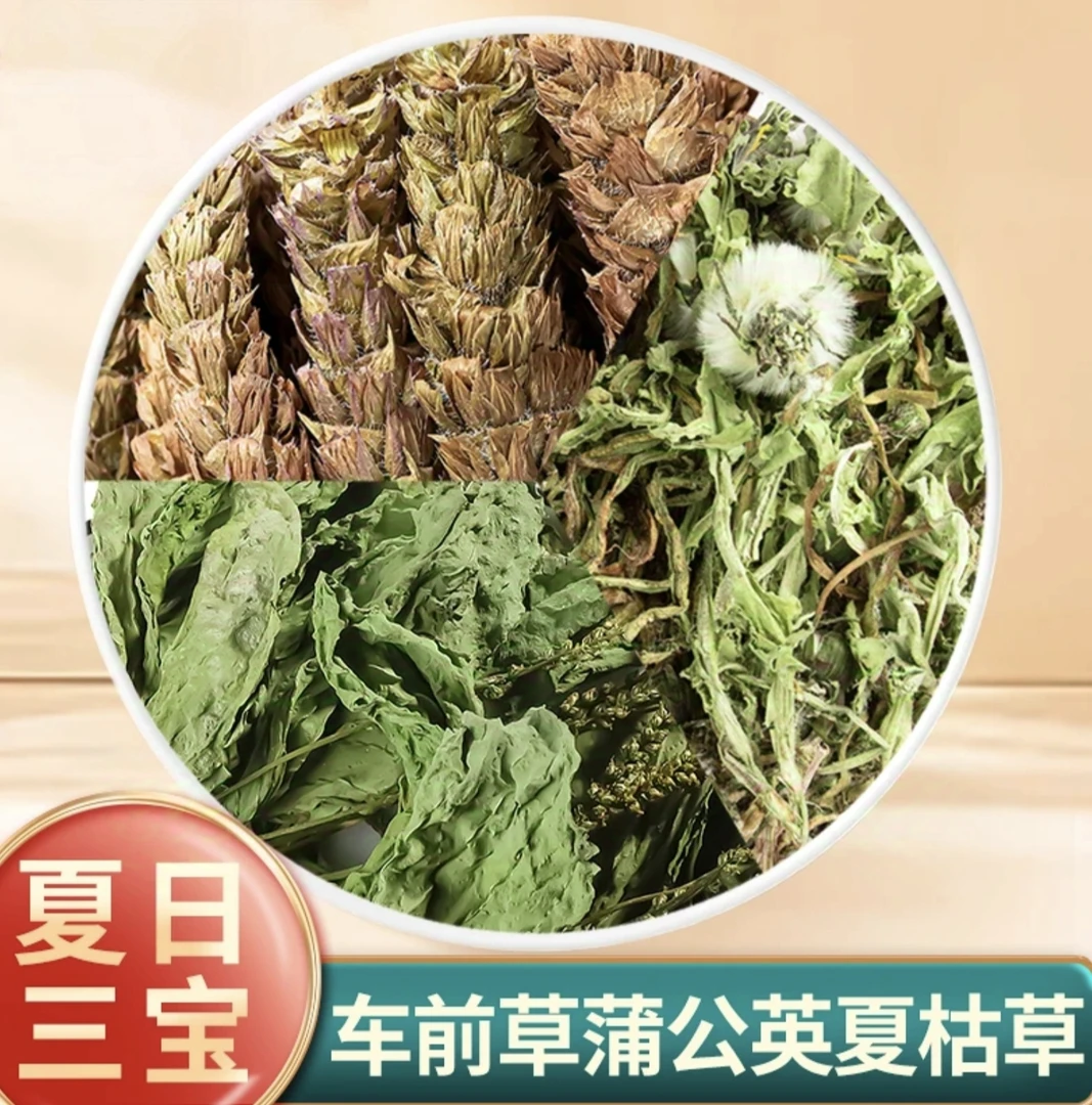 （夏日三宝）大山农村采摘蒲公英夏枯草车前草新鲜干货煮水煮鸡蛋