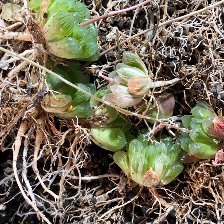 唯*2074 一整排福利。