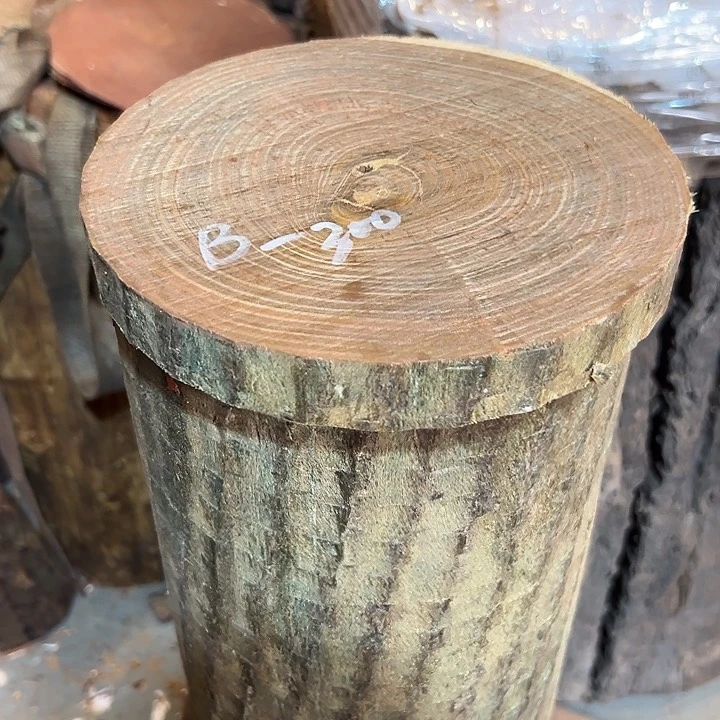 绿檀一物一拍B300