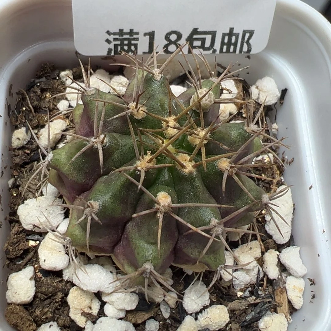 【闪购商品】120……