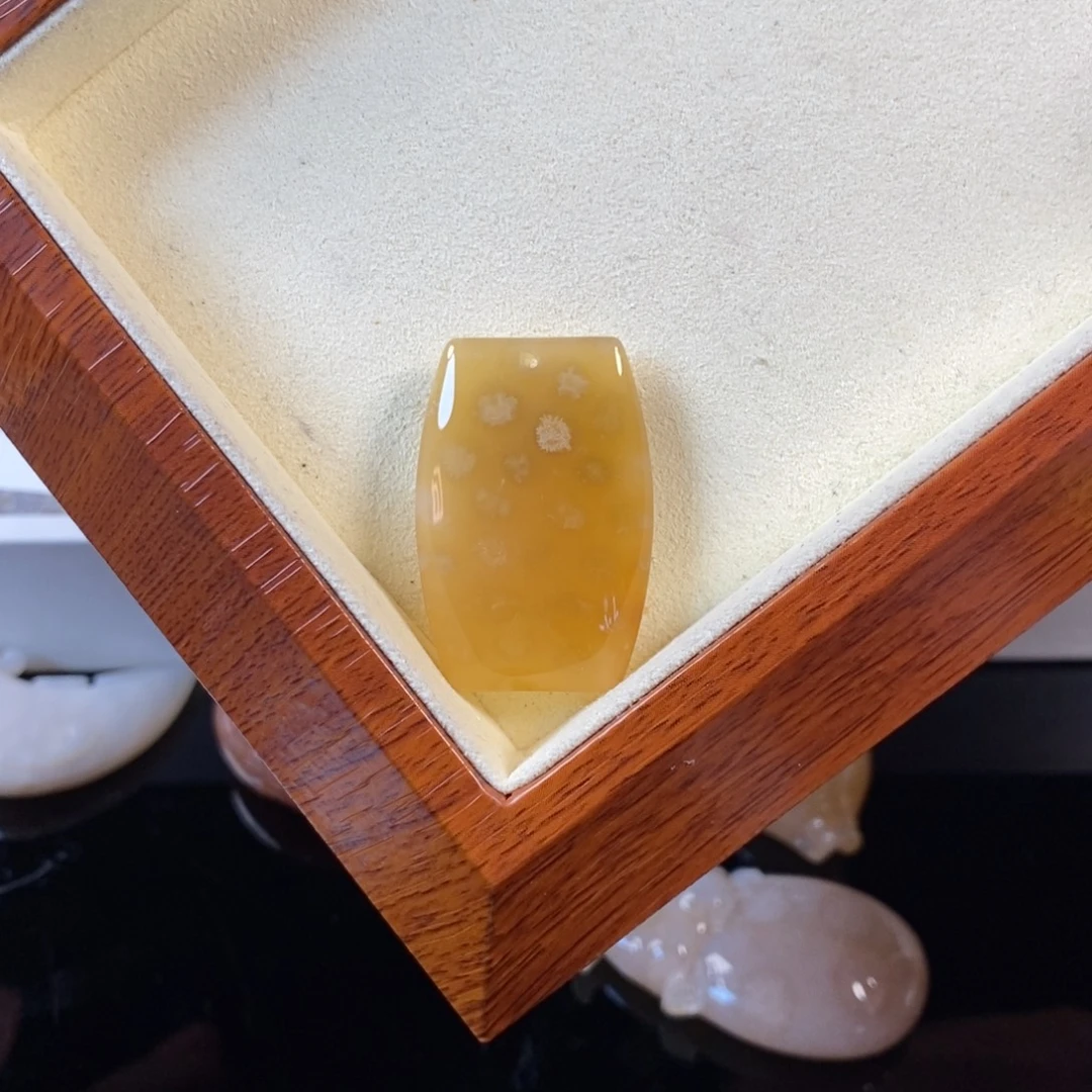 硅化珊瑚（珊瑚玉）未镶嵌颈饰20