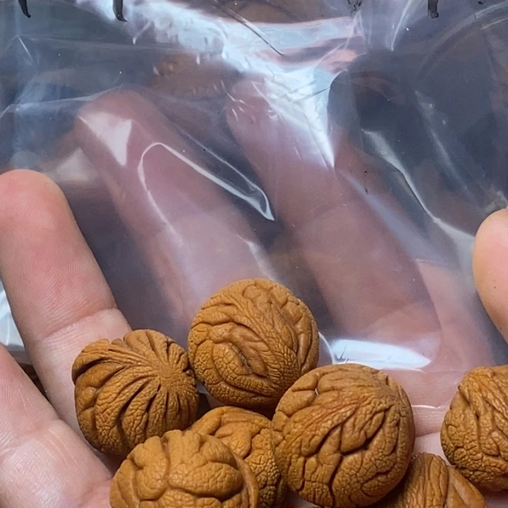 木质类秦岭山桃核