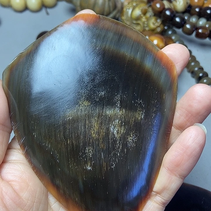 大果紫檀（缅甸花梨）