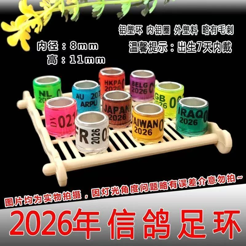 2026年信鸽足环彩色鸽子脚环鸽环鸽子脚环仿真仿环鸽子脚环字母环