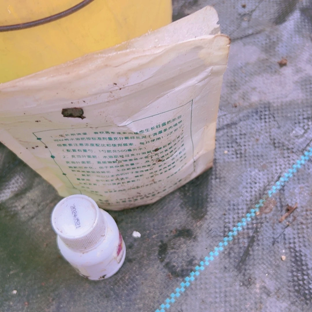 【闪购商品】营养水溶分加杀菌