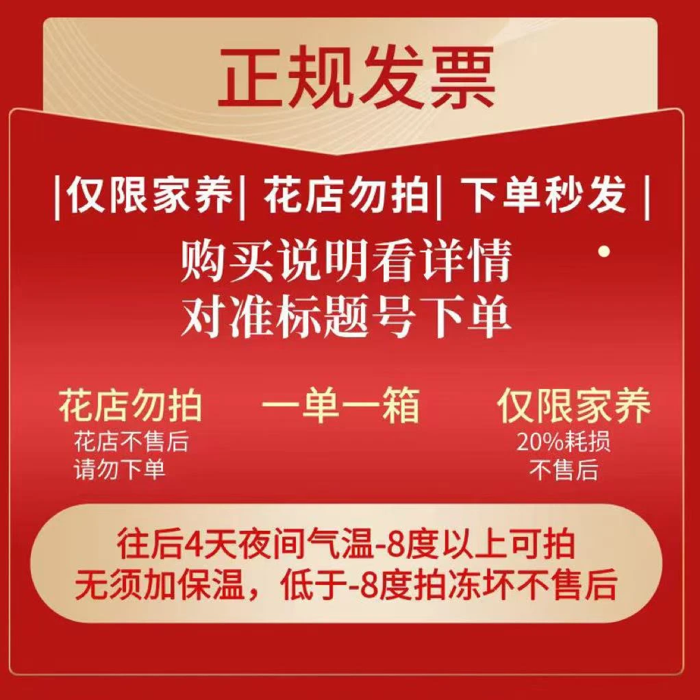 357号发一箱❤←对准号下单鲜花❤快递揽收后不支持退款