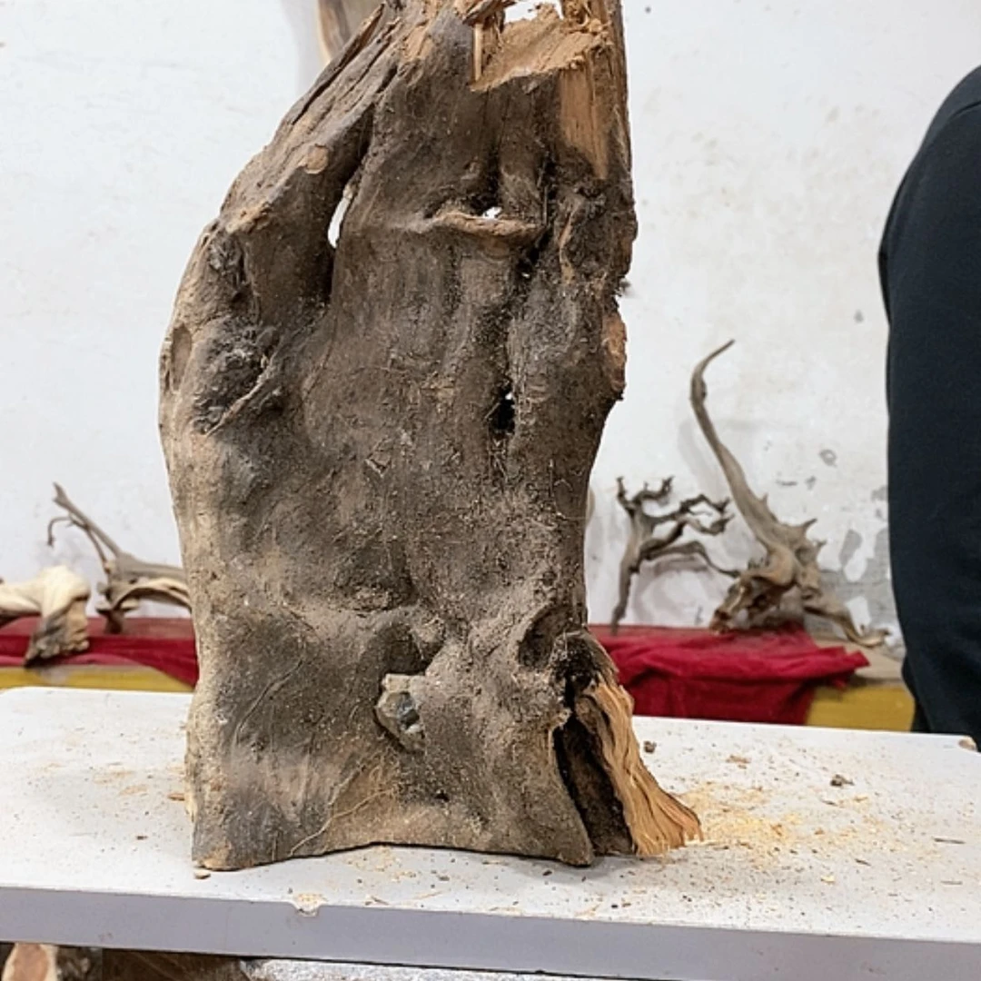 【闪购商品】柏木木****店我们都是好孩子