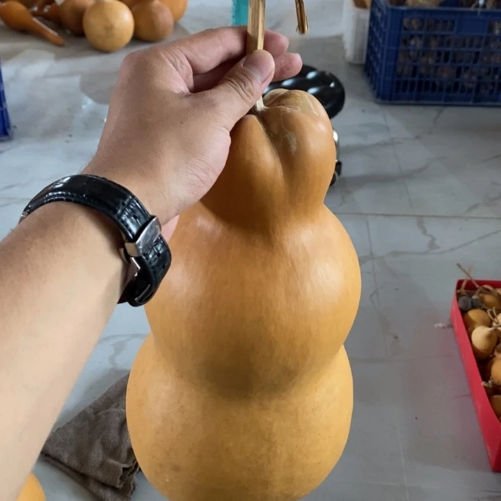 白*狸葫芦葫芦葫芦葫芦