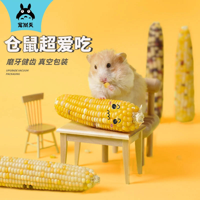 宠尚天仓鼠磨牙玉米解馋健康套装健康棒饼造景荷兰猪金丝熊用品