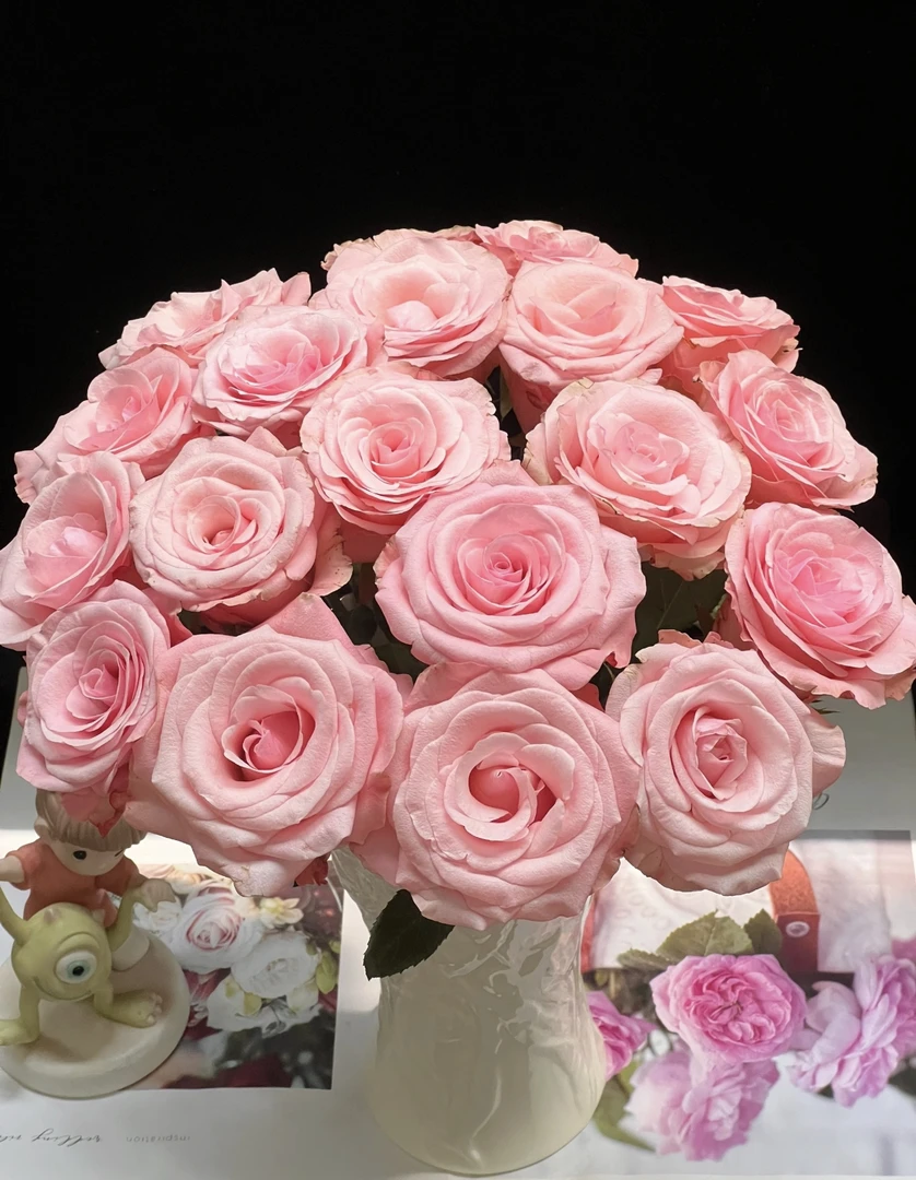 【九里花田】单头玫瑰和弦-基地鲜花现采现发-1单发申通2单顺丰