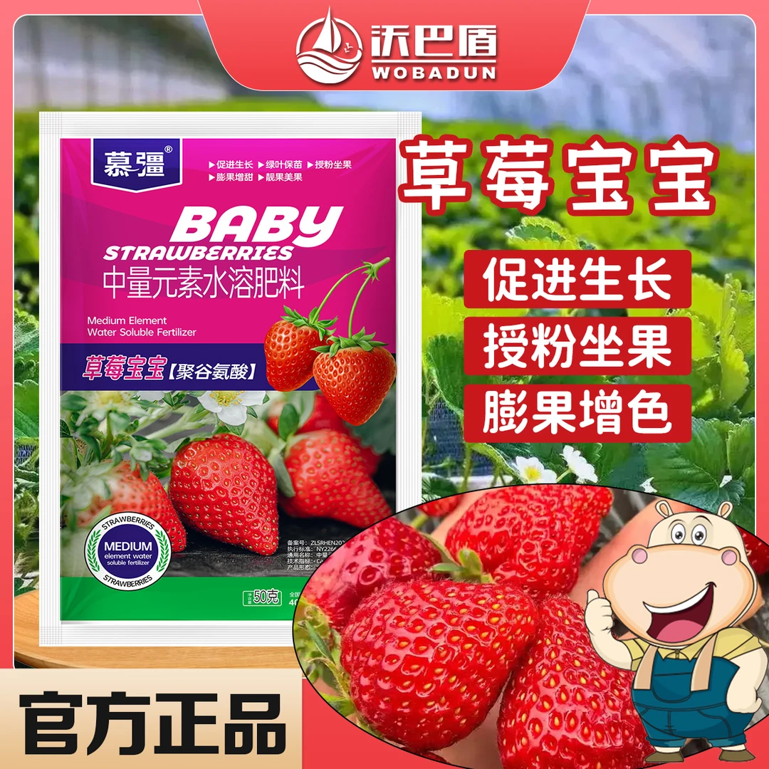 【厂家直销】沃巴盾草莓宝宝促进作物生长保苗绿叶靓果美果提质增产