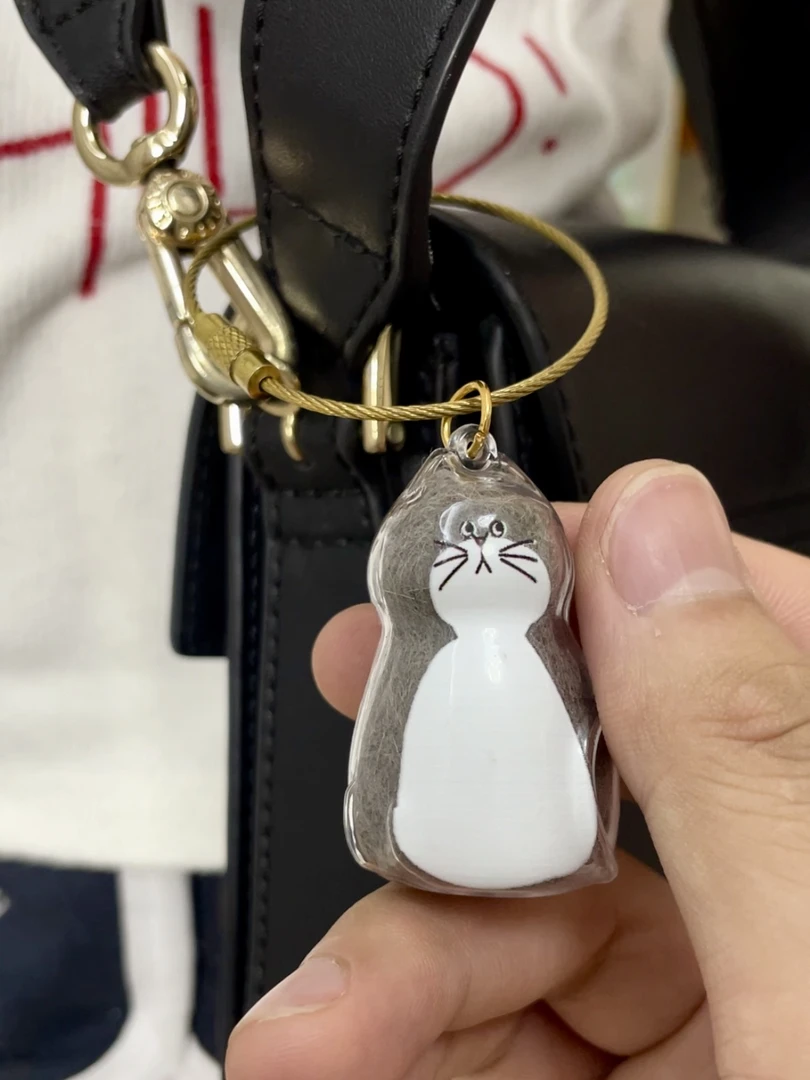 透明猫毛小狗毛收纳盒吊饰扭蛋猫咪毛发存放胶囊可爱挂件纪念意义